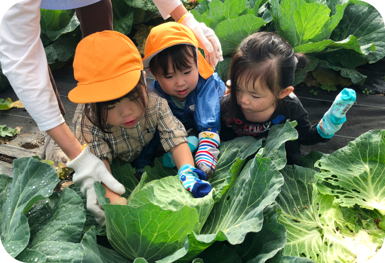 入園案内